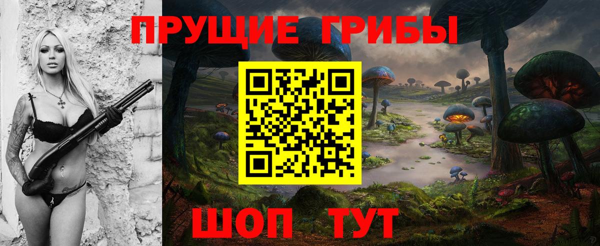 где найти   Вход с VPN  Нурлат  Псилоцибиновые грибы Psilocybe 